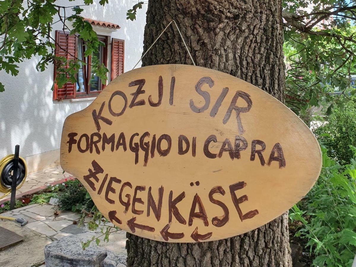 Apartments Kero New Value 2023 Fully Ac Poreč Kültér fotó
